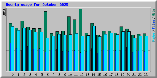 Hourly usage for October 2025